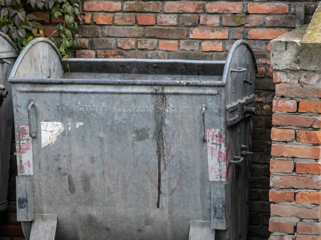 Dumpster Area Cleaning